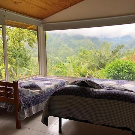 Salento Finca Hotel Mundo Nuevo 外观 照片