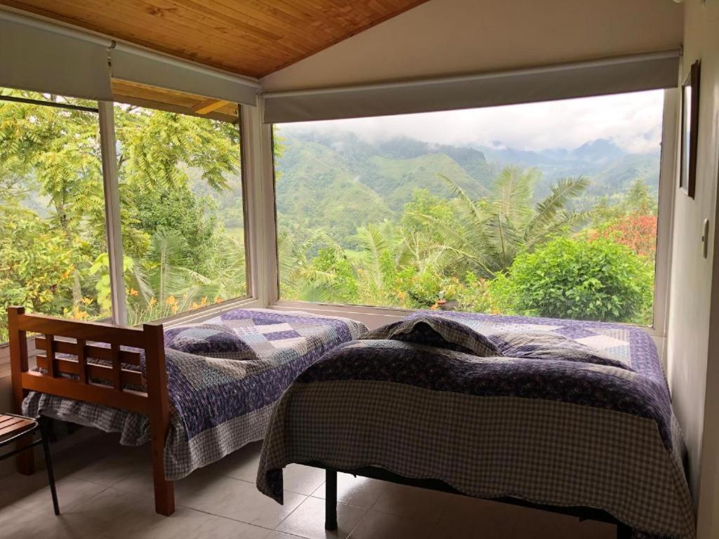 Salento Finca Hotel Mundo Nuevo 外观 照片