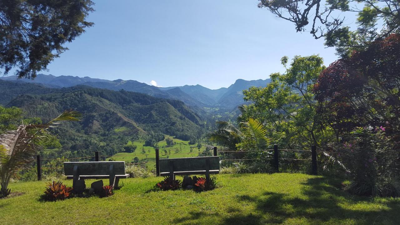 Salento Finca Hotel Mundo Nuevo 外观 照片