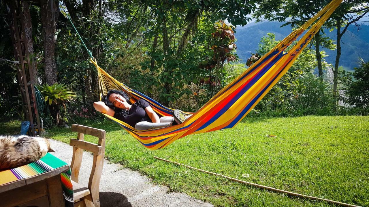 Salento Finca Hotel Mundo Nuevo 外观 照片