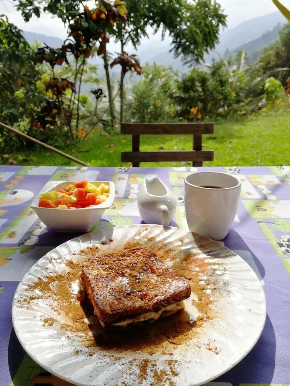 Salento Finca Hotel Mundo Nuevo 外观 照片