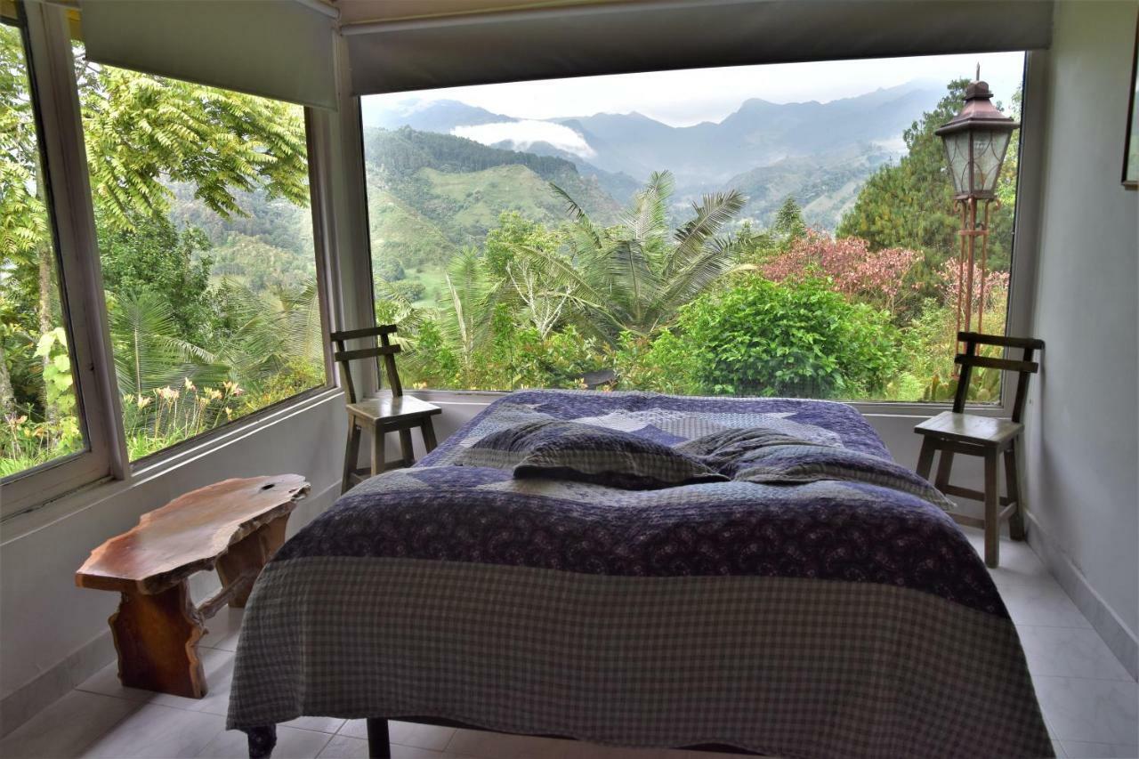 Salento Finca Hotel Mundo Nuevo 外观 照片