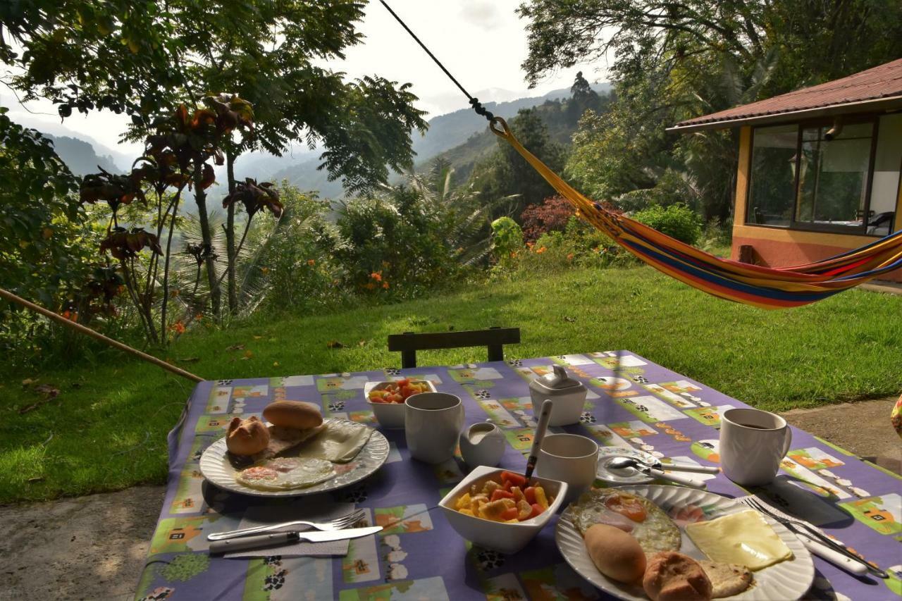 Salento Finca Hotel Mundo Nuevo 外观 照片