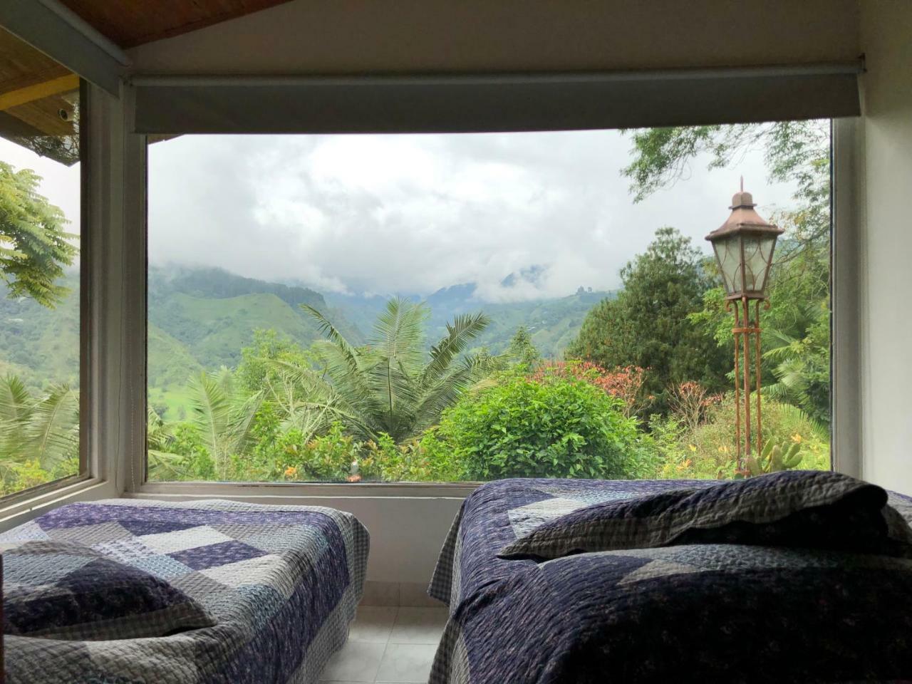 Salento Finca Hotel Mundo Nuevo 外观 照片