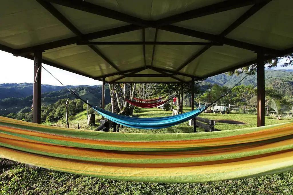 Salento Finca Hotel Mundo Nuevo 外观 照片